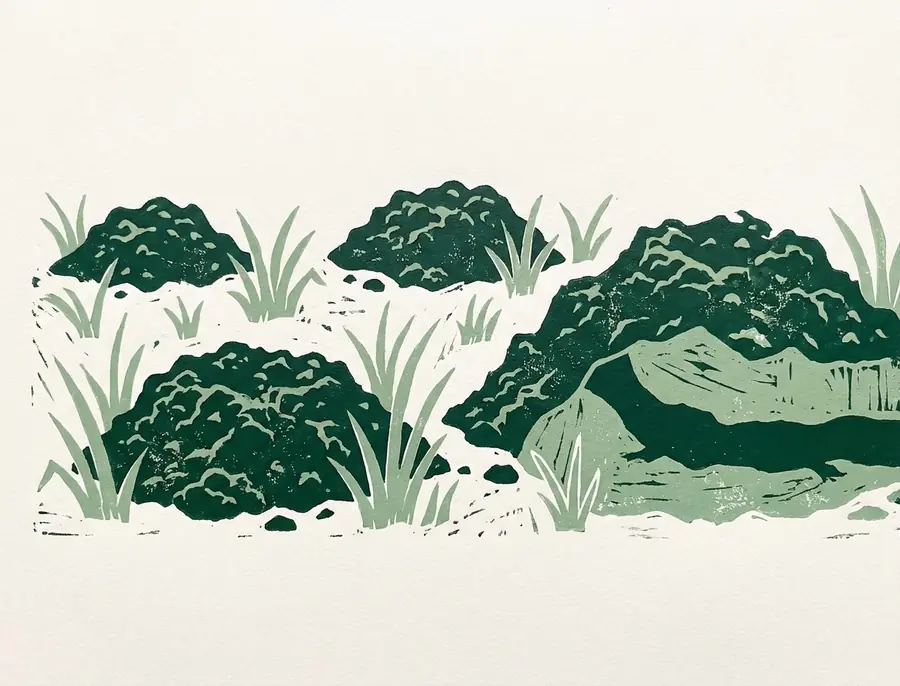 Linogravure : taupinières de terre fraîche sur une pelouse, la galerie visible sous le gazon