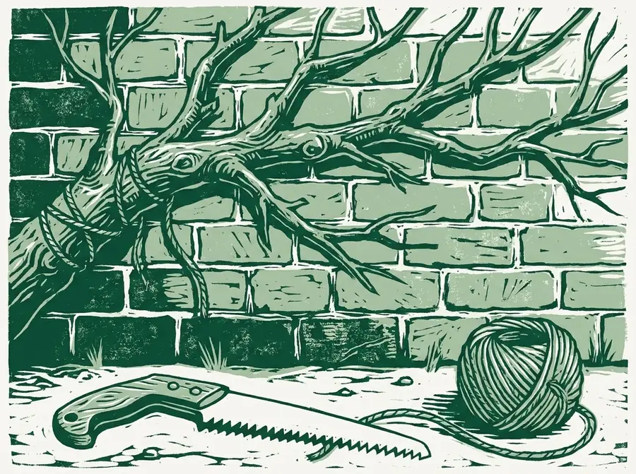Linogravure : pan de mur en brique ancien avec une branche palissée, scie d'élagage et pelote de ficelle posées au pied du mur